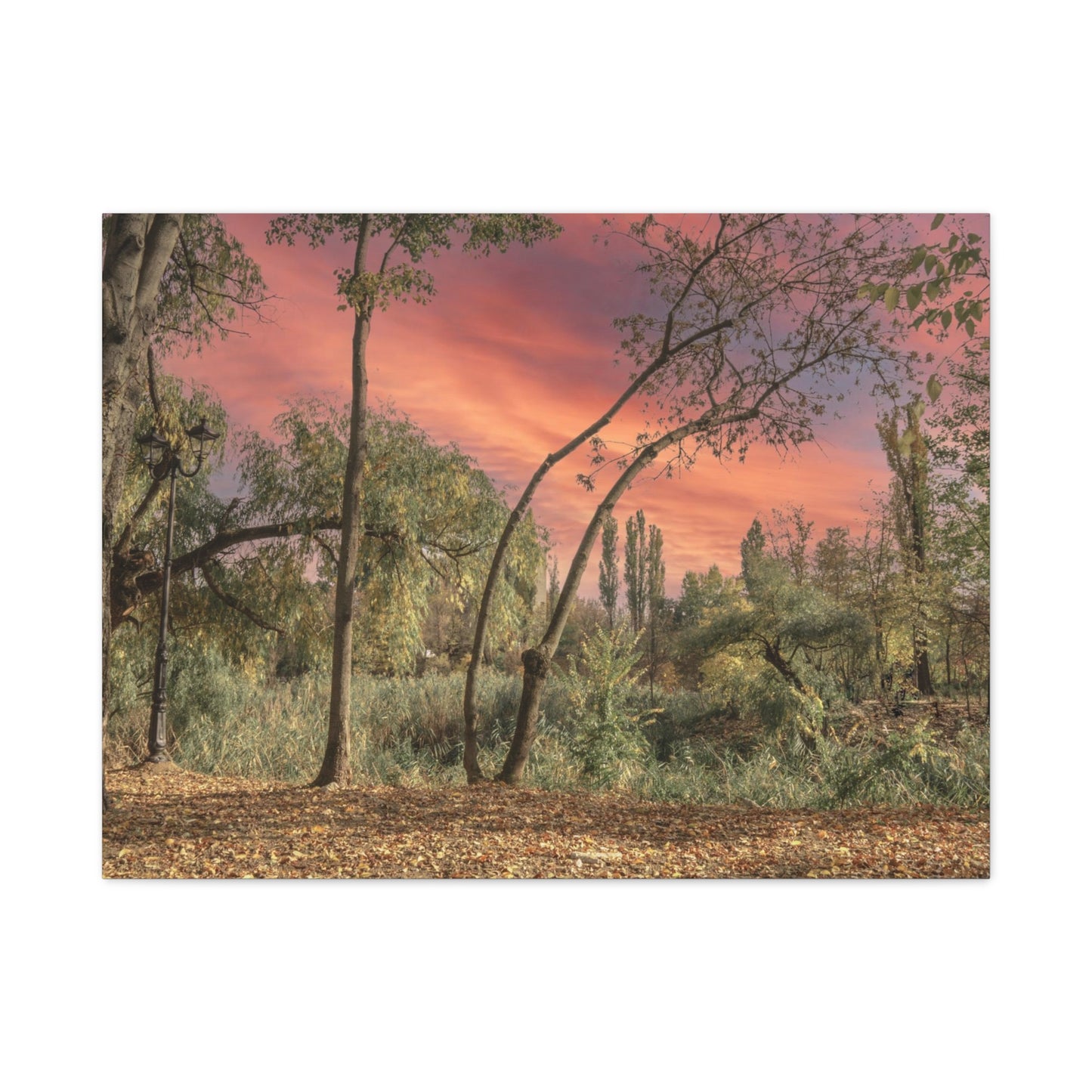 Nature Matte Canvas, Stretched, 1.25"