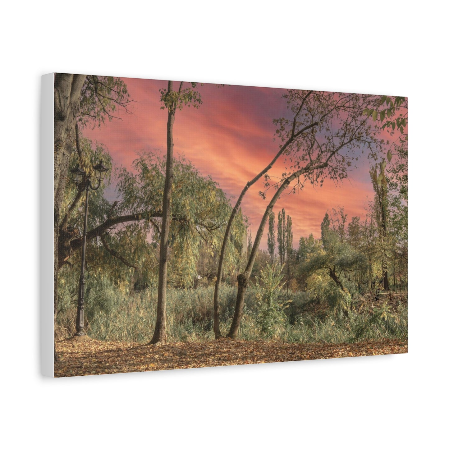 Nature Matte Canvas, Stretched, 1.25"