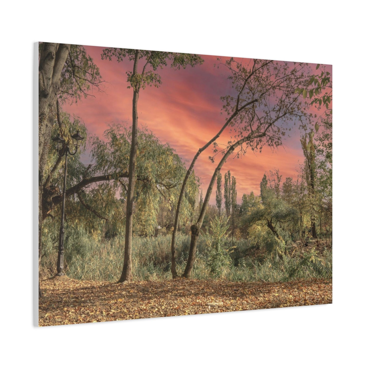 Nature Matte Canvas, Stretched, 1.25"