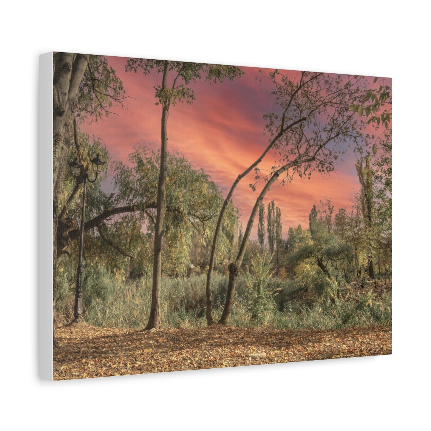 Nature Matte Canvas, Stretched, 1.25"