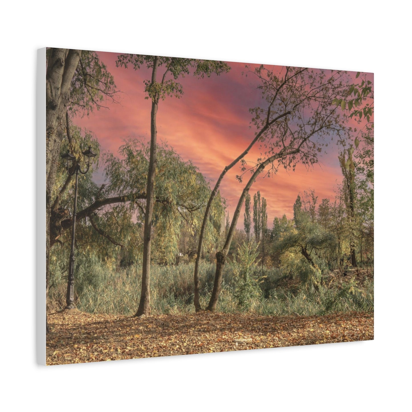 Nature Matte Canvas, Stretched, 1.25"