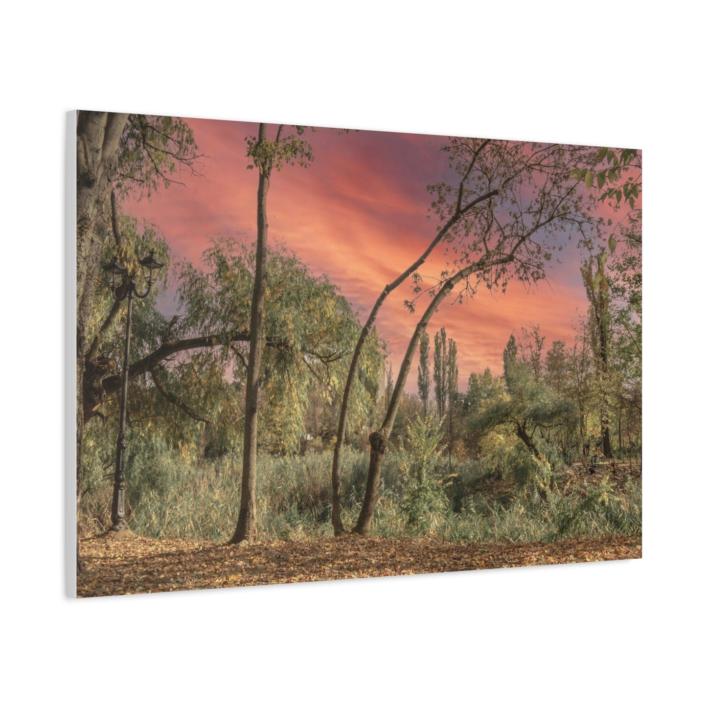 Nature Matte Canvas, Stretched, 1.25"