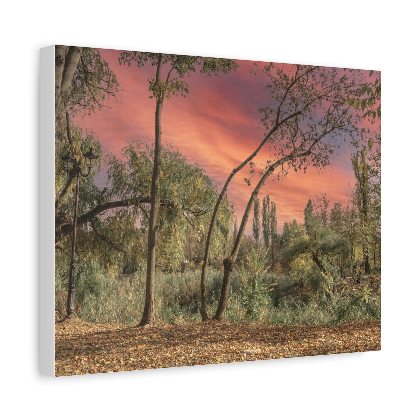 Nature Matte Canvas, Stretched, 1.25"