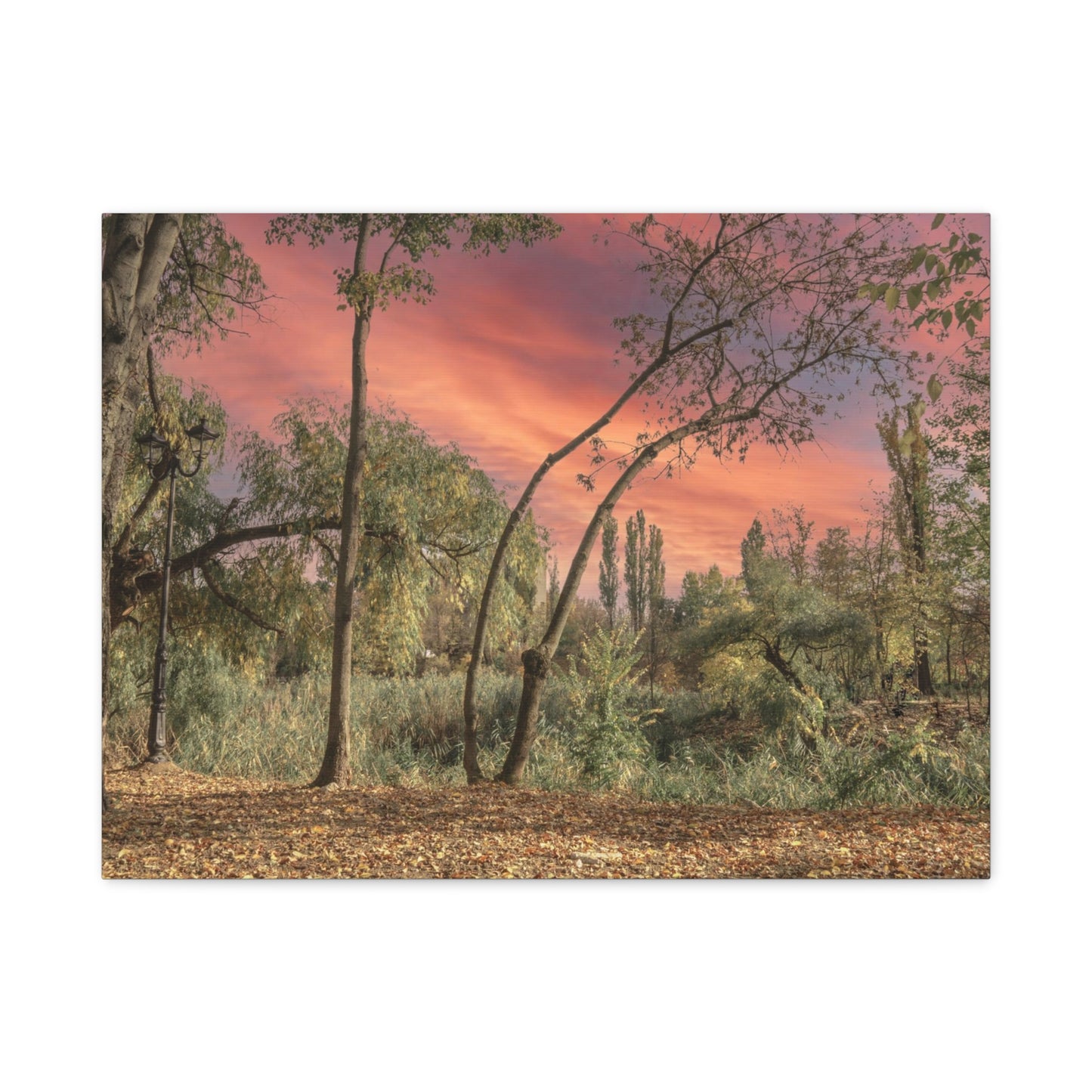 Nature Matte Canvas, Stretched, 1.25"