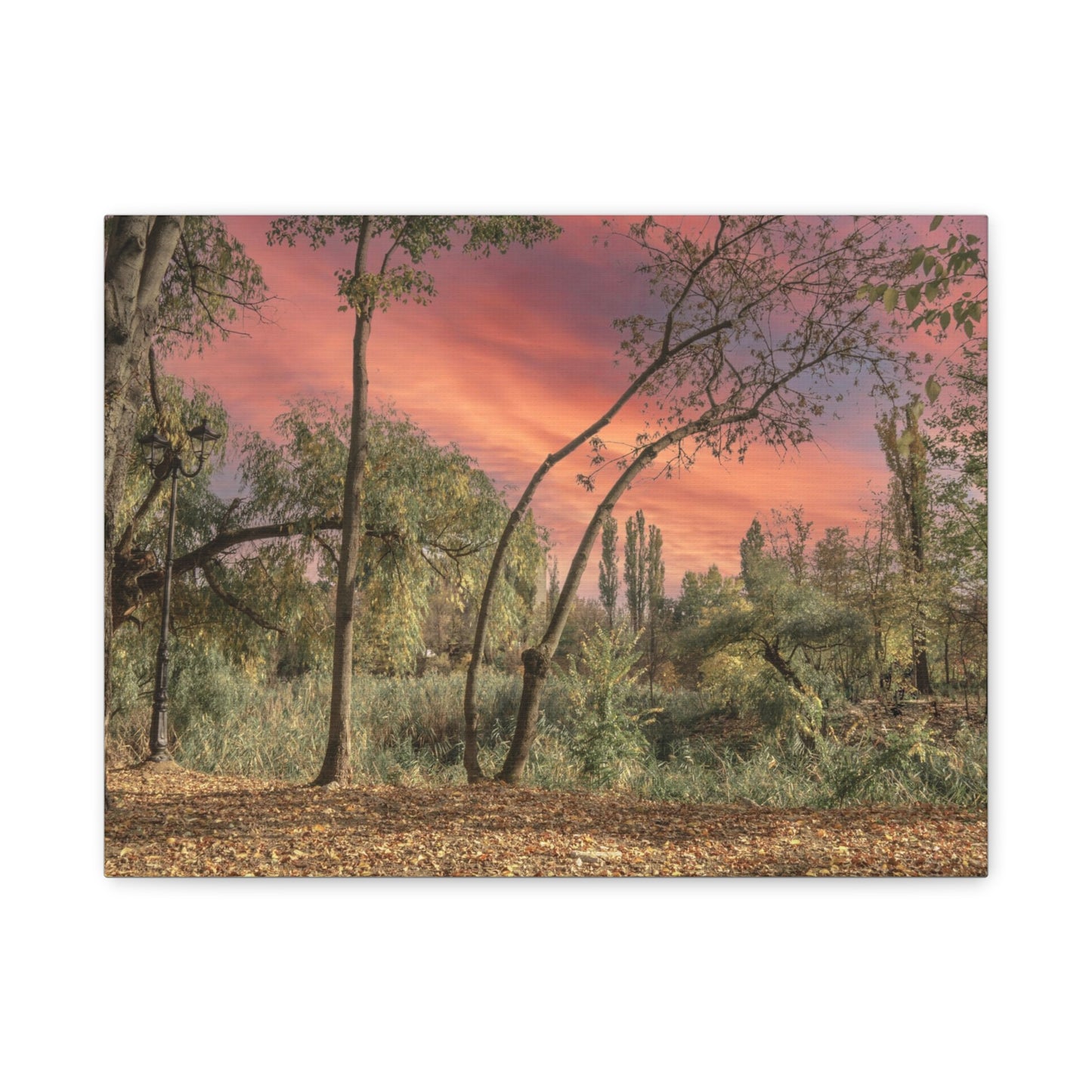 Nature Matte Canvas, Stretched, 1.25"