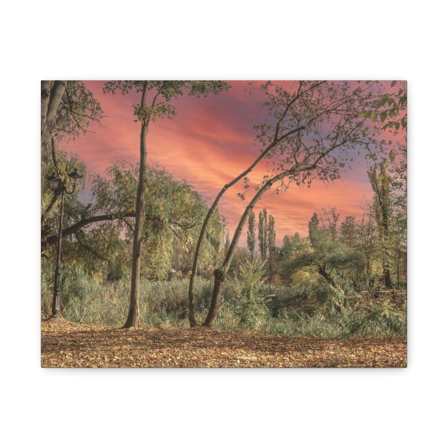 Nature Matte Canvas, Stretched, 1.25"
