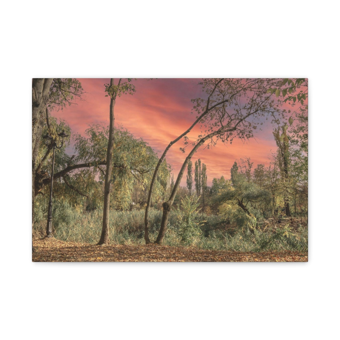 Nature Matte Canvas, Stretched, 1.25"