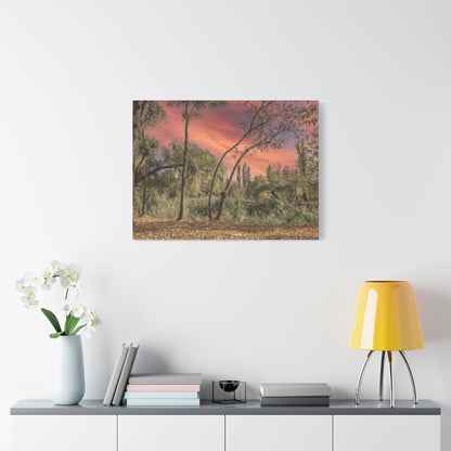 Nature Matte Canvas, Stretched, 1.25"