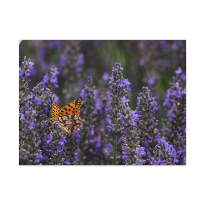 Orange Butterfly Matte Canvas, Stretched, 1.25"