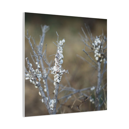 Nature 2 Matte Canvas, Stretched, 1.25"