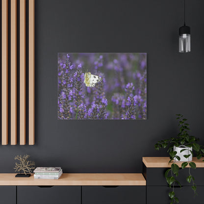 White Butterfly Matte Canvas, Stretched, 1.25"