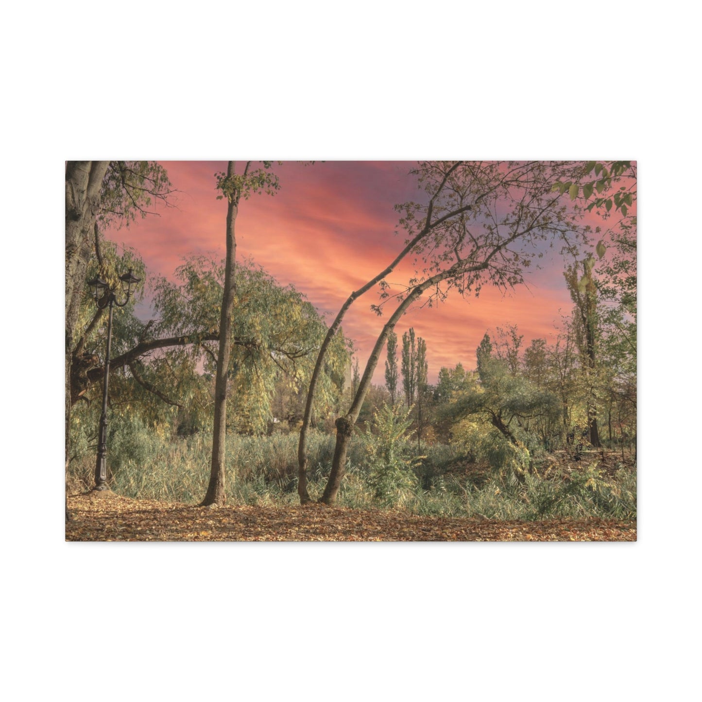 Nature Matte Canvas, Stretched, 1.25"
