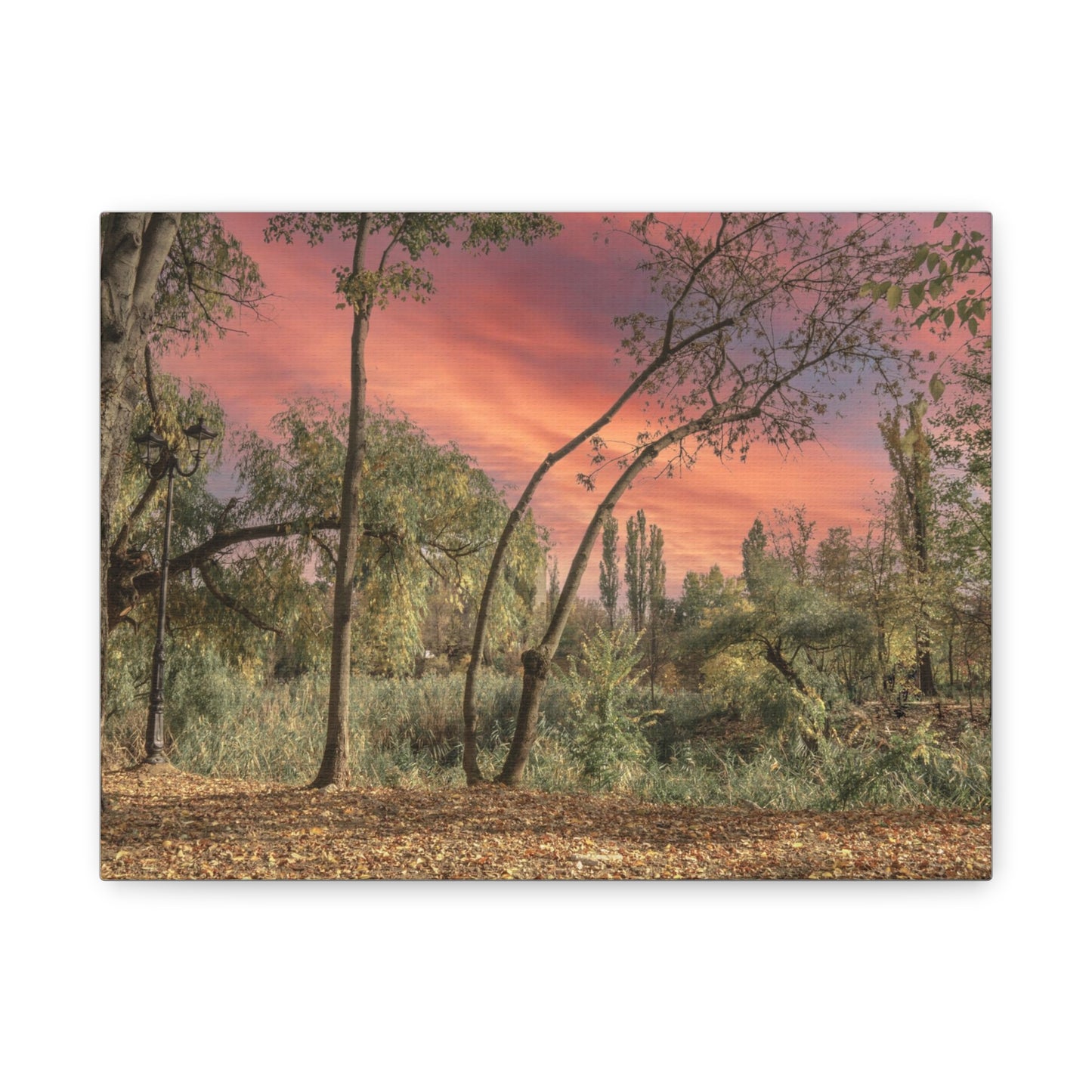 Nature Matte Canvas, Stretched, 1.25"