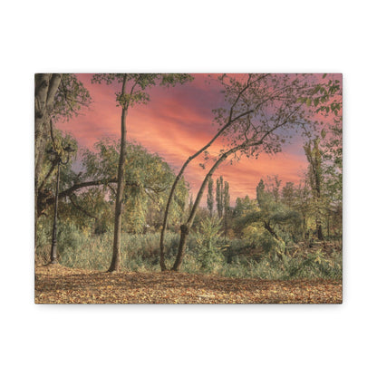 Nature Matte Canvas, Stretched, 1.25"