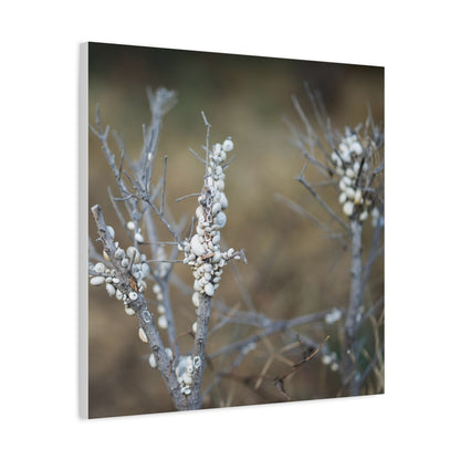Nature 2 Matte Canvas, Stretched, 1.25"