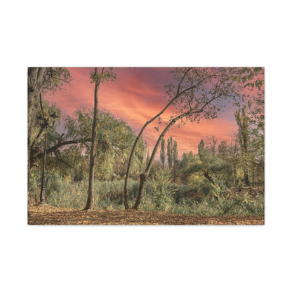 Nature Matte Canvas, Stretched, 1.25"