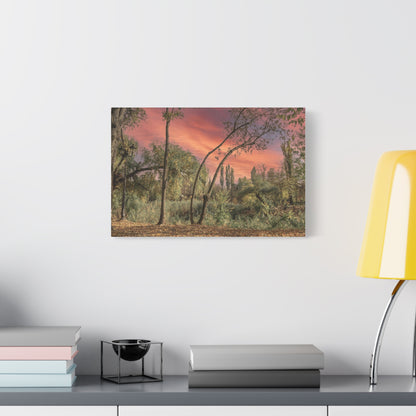 Nature Matte Canvas, Stretched, 1.25"