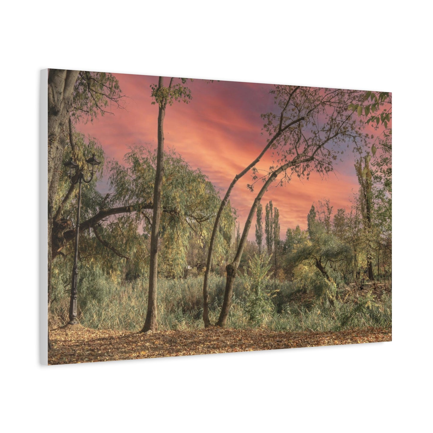 Nature Matte Canvas, Stretched, 1.25"