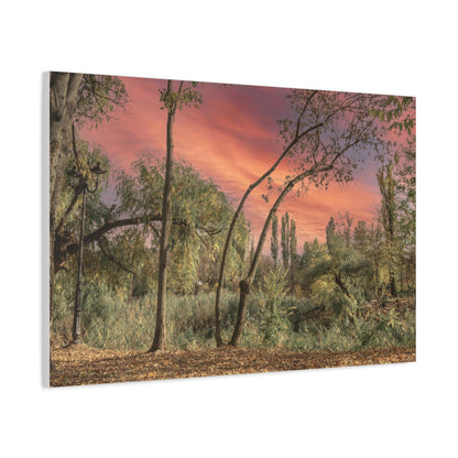 Nature Matte Canvas, Stretched, 1.25"