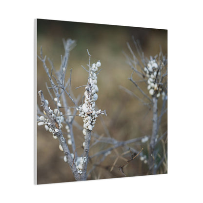 Nature 2 Matte Canvas, Stretched, 1.25"
