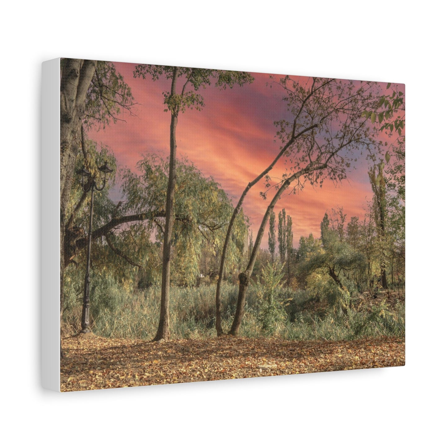 Nature Matte Canvas, Stretched, 1.25"