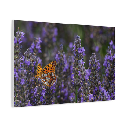 Orange Butterfly Matte Canvas, Stretched, 1.25"